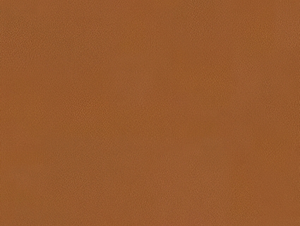 细纹皮革贴图下载-1