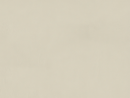 细纹皮革贴图下载-1