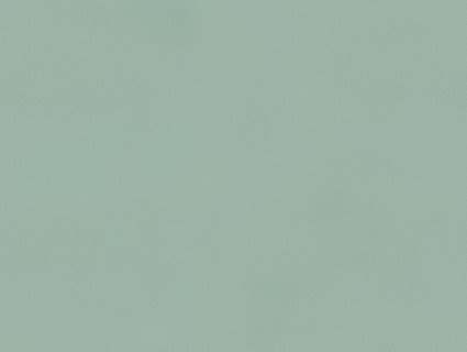 粗纹皮革无缝贴图下载-1