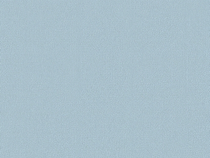 细纹皮革贴图下载-1