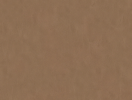 细纹皮革贴图下载-1