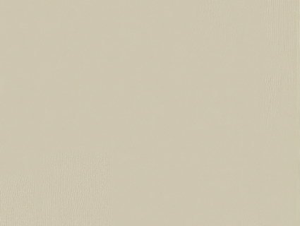 细纹皮革贴图下载-1