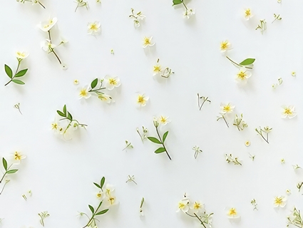 动植物壁纸_墙纸无缝贴图下载-1