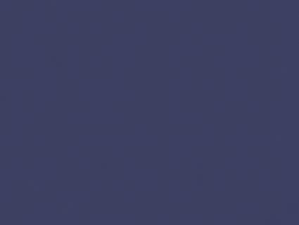 粗纹皮革无缝贴图下载-1