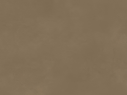 细纹皮革贴图下载-1