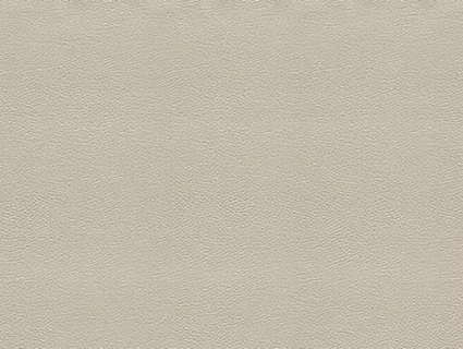 细纹皮革贴图下载-1