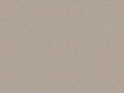 细纹皮革贴图下载-1