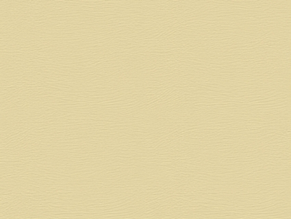 细纹皮革贴图下载-1