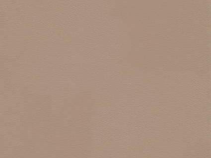 细纹皮革贴图下载-1
