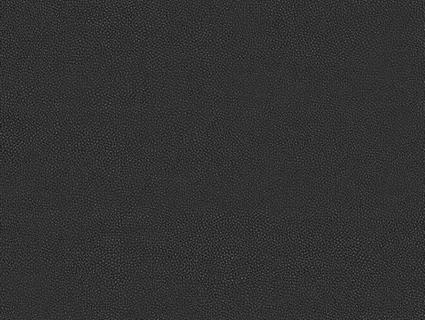 细纹皮革贴图下载-1