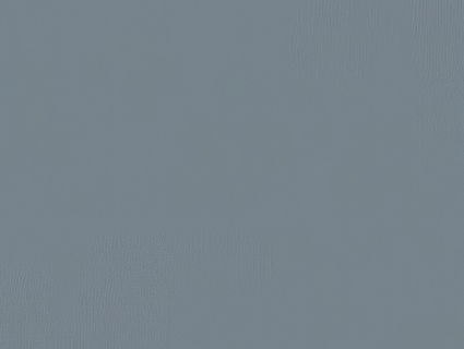 细纹皮革贴图下载-1