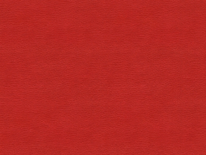 细纹皮革贴图下载-1