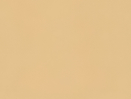 粗纹皮革无缝贴图下载-1