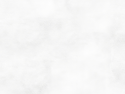 细纹皮革贴图下载-1