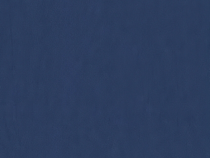 细纹皮革贴图下载-1