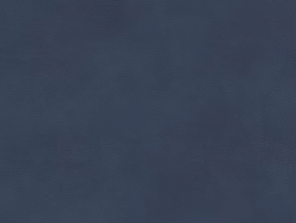 细纹皮革贴图下载-1