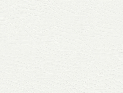 粗纹皮革无缝贴图下载-1