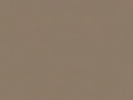 粗纹皮革无缝贴图下载-1