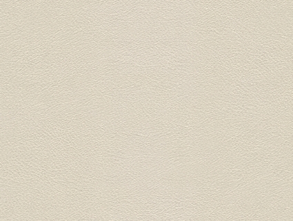 细纹皮革贴图下载-1