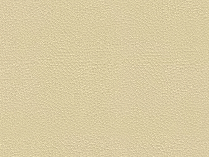 细纹皮革贴图下载-1