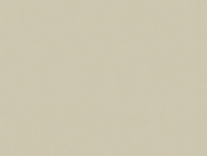 细纹皮革贴图下载-1
