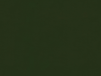 细纹皮革贴图下载-1