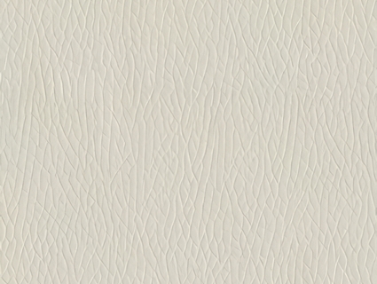 粗纹皮革无缝贴图下载-1