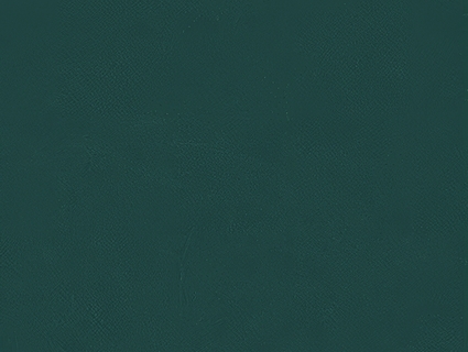 细纹皮革贴图下载-1