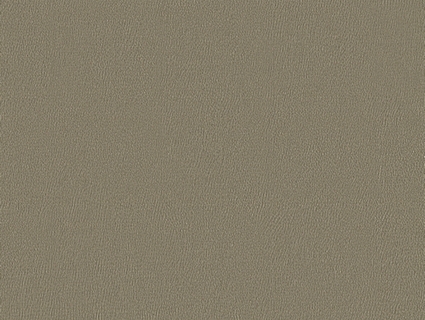 细纹皮革贴图下载-1