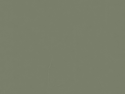 细纹皮革贴图下载-1