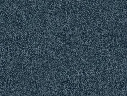 细纹皮革贴图下载-1