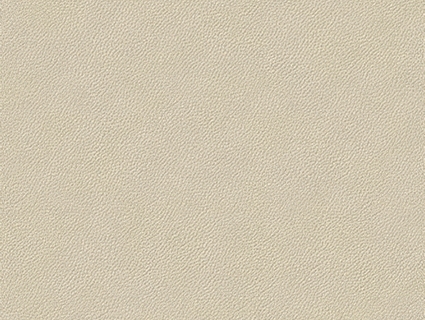 细纹皮革贴图下载-1