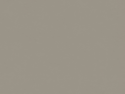 细纹皮革贴图下载-1