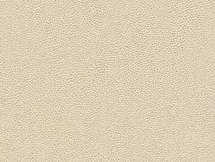 细纹皮革贴图下载-1