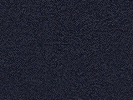 粗纹皮革无缝贴图下载-1