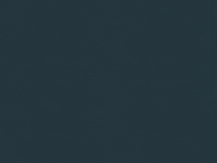 细纹皮革贴图下载-1