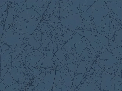 动植物壁纸_墙纸无缝贴图下载-1