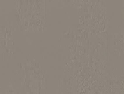 细纹皮革贴图下载-1