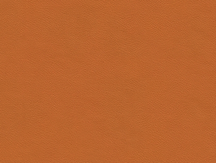 细纹皮革贴图下载-1