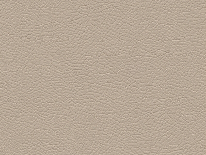 细纹皮革贴图下载-1