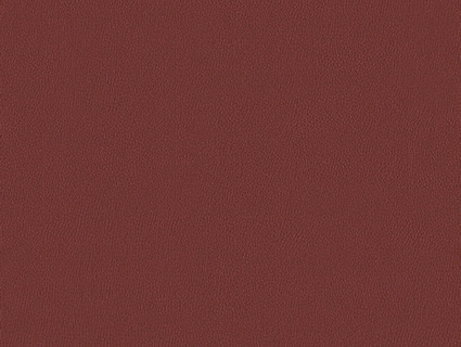 细纹皮革贴图下载-1