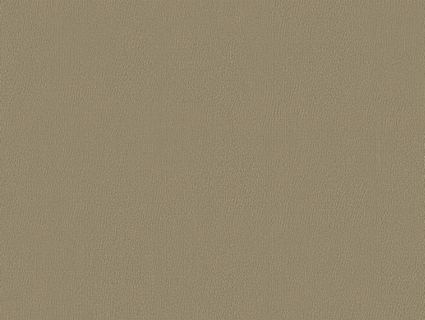 细纹皮革贴图下载-1