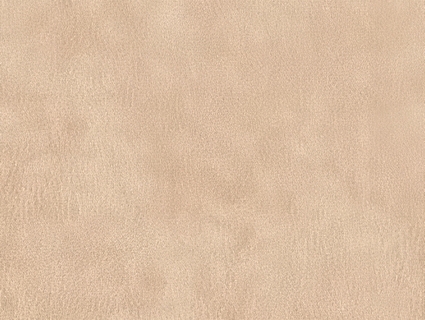 细纹皮革贴图下载-1