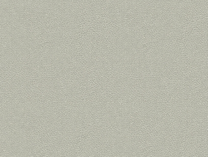 细纹皮革贴图下载-1