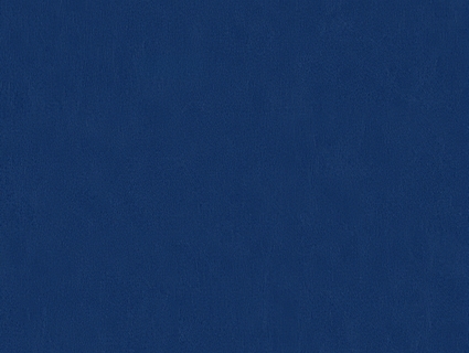 细纹皮革贴图下载-1