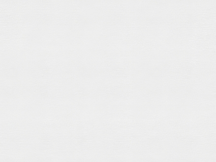 细纹皮革贴图下载-1