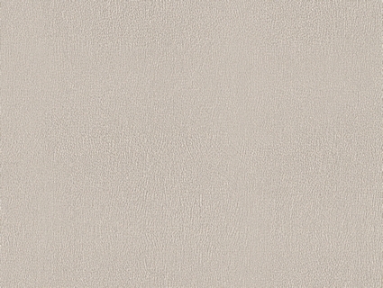 细纹皮革贴图下载-1