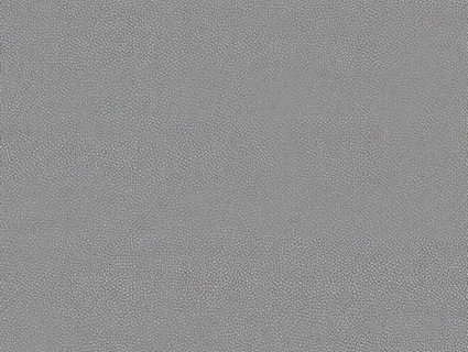 细纹皮革贴图下载-1