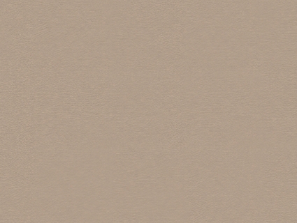 细纹皮革贴图下载-1