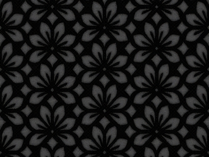 蕾丝布料无缝贴图-1